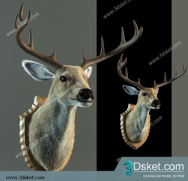 Free Download Other Decorative Objects 3D Model 007