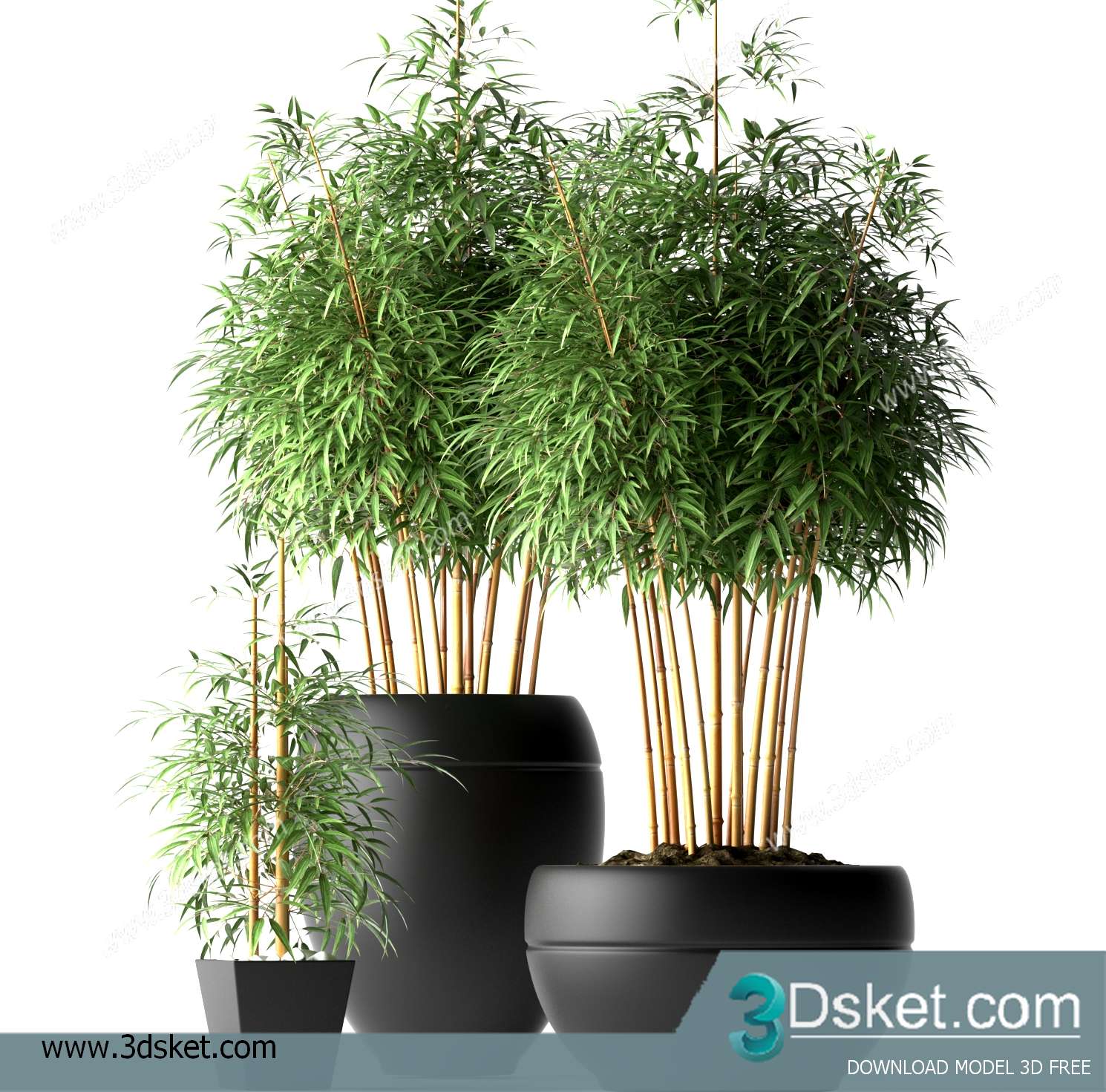 3D Model Plant Free Download 009