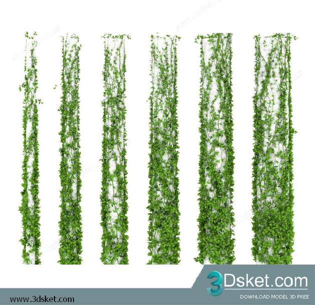 3D Model Plant Free Download 003
