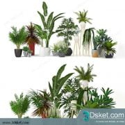 3D Model Plant Free Download 008