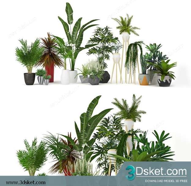 3D Model Plant Free Download 008