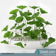 3D Model Plant Free Download 010
