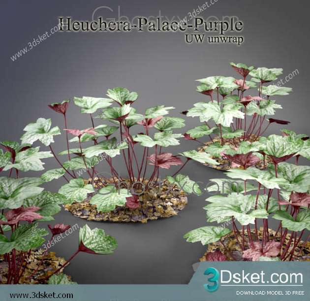 3D Model Plant Free Download 011