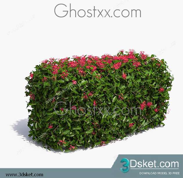 3D Model Plant Free Download 013