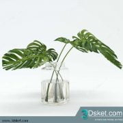 3D Model Plant Free Download 036