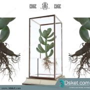 3D Model Plant Free Download 004