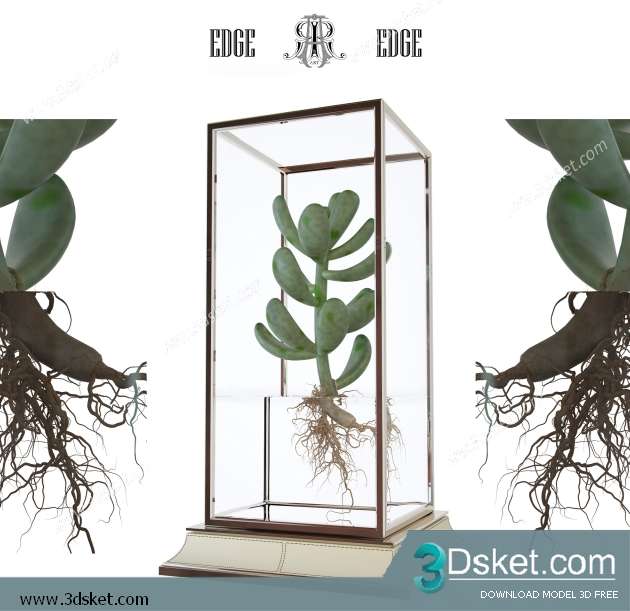 3D Model Plant Free Download 004