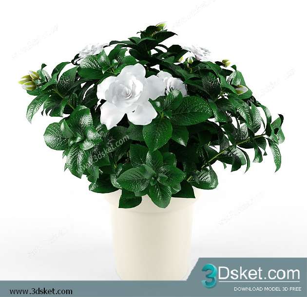 3D Model Plant Free Download 039
