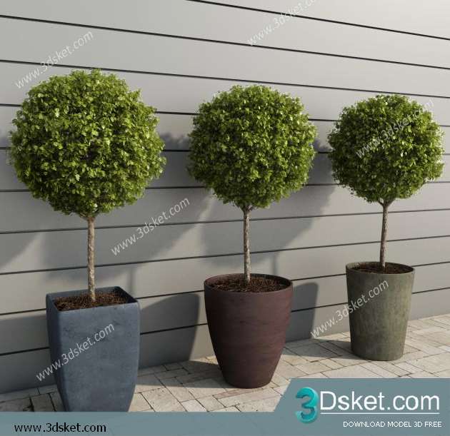 3D Model Plant Free Download 041