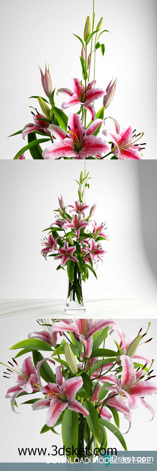 3D Model Plant Free Download 043