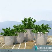 3D Model Plant Free Download 044