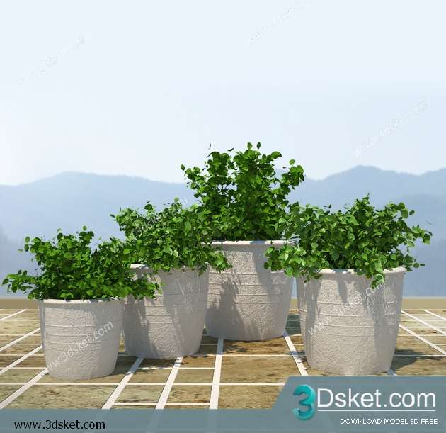 3D Model Plant Free Download 044