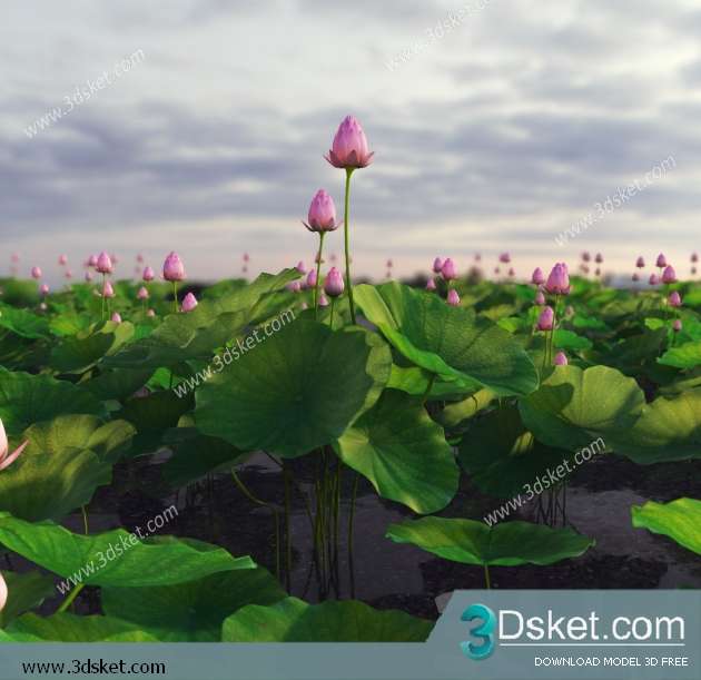 3D Model Plant Free Download 045