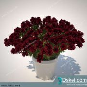 3D Model Plant Free Download 046