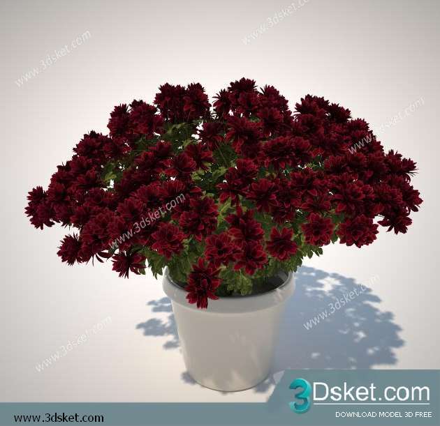 3D Model Plant Free Download 046