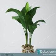 3D Model Plant Free Download 047