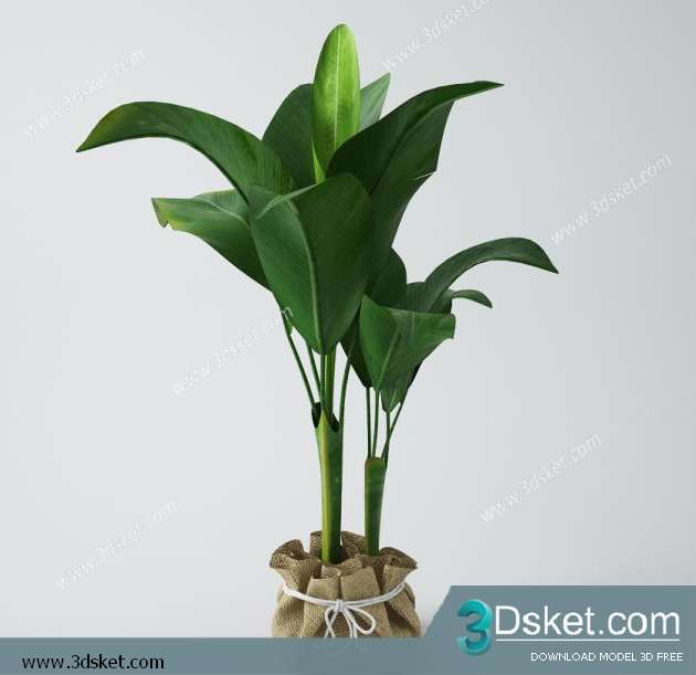 3D Model Plant Free Download 047