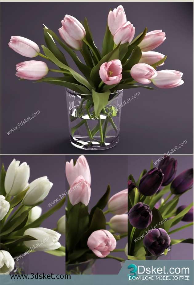 3D Model Plant Free Download 048