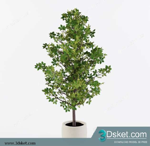 3D Model Plant Free Download 051