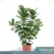 3D Model Plant Free Download 053