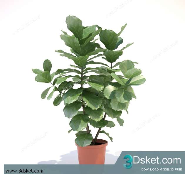 3D Model Plant Free Download 053