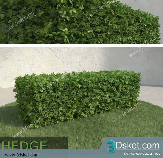 3D Model Plant Free Download 054