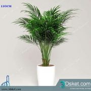 3D Model Plant Free Download 056
