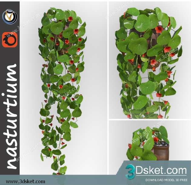 3D Model Plant Free Download 016