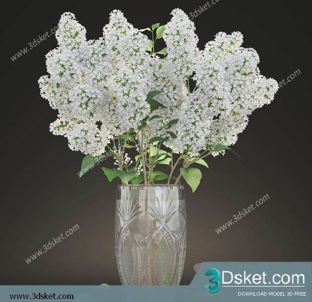 3D Model Plant Free Download 061