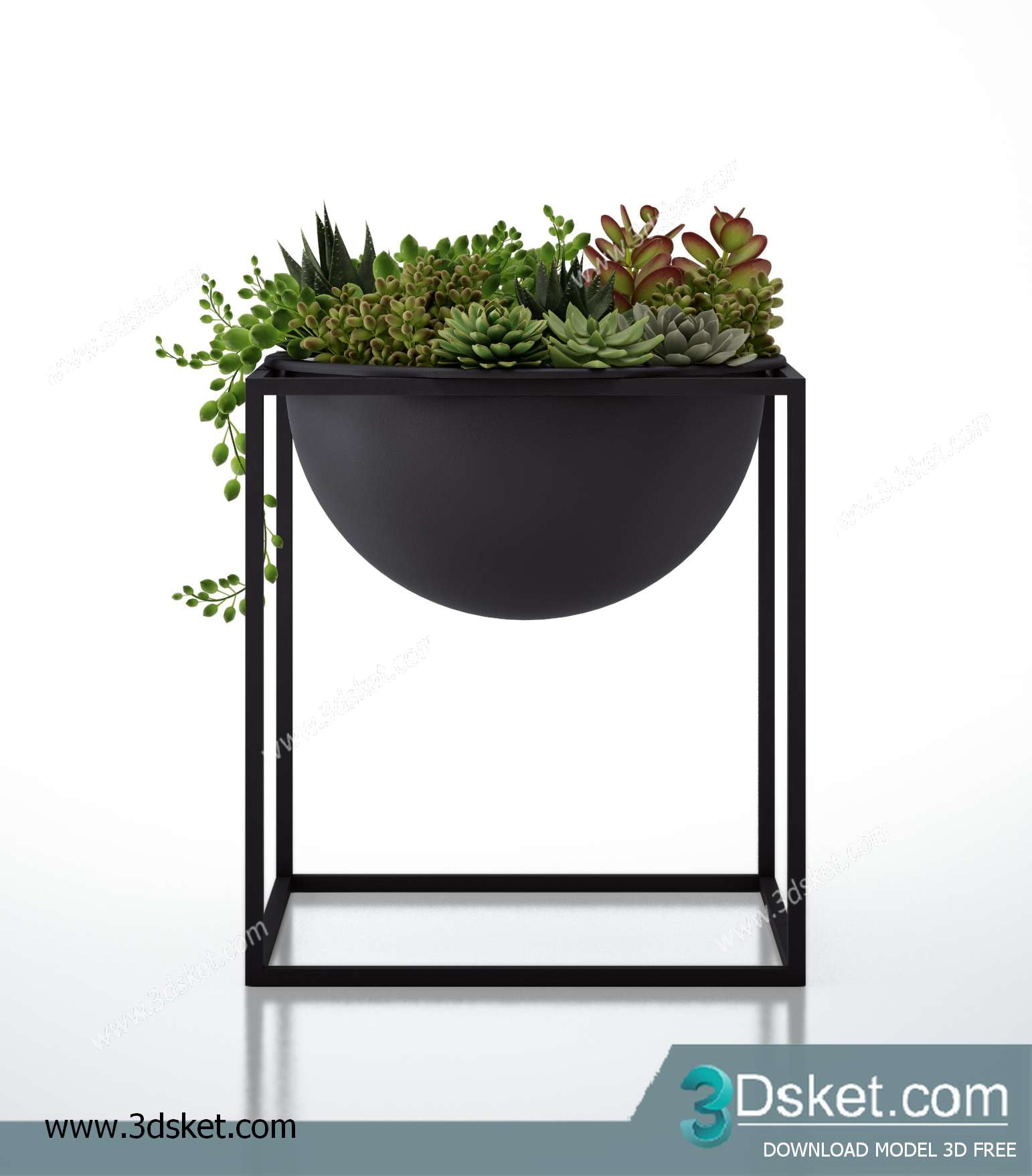 3D Model Plant Free Download 017