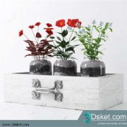 3D Model Plant Free Download 006