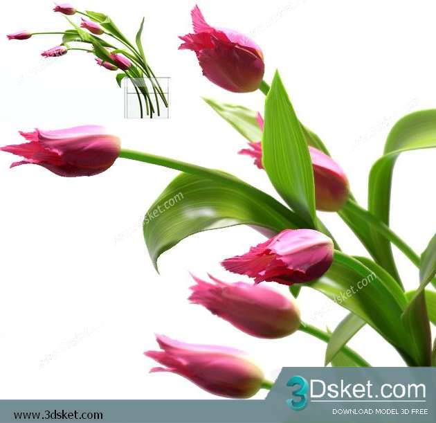 3D Model Plant Free Download 078