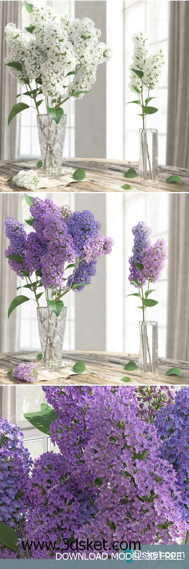 3D Model Plant Free Download 082