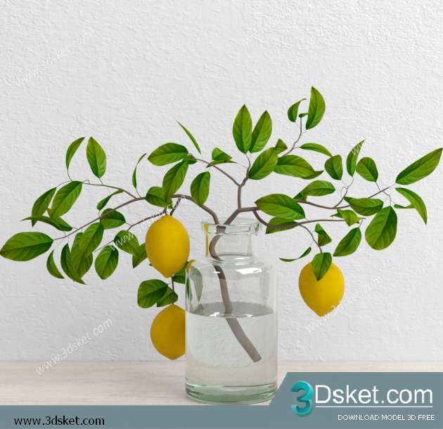 3D Model Plant Free Download 090