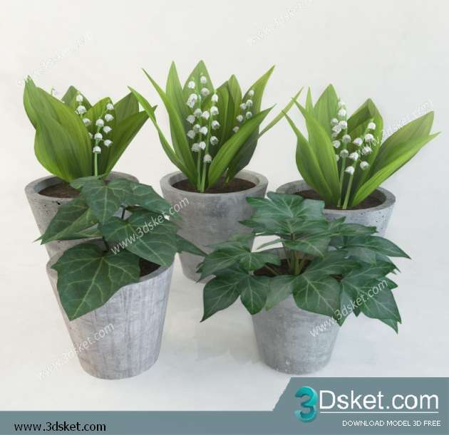 3D Model Plant Free Download 099