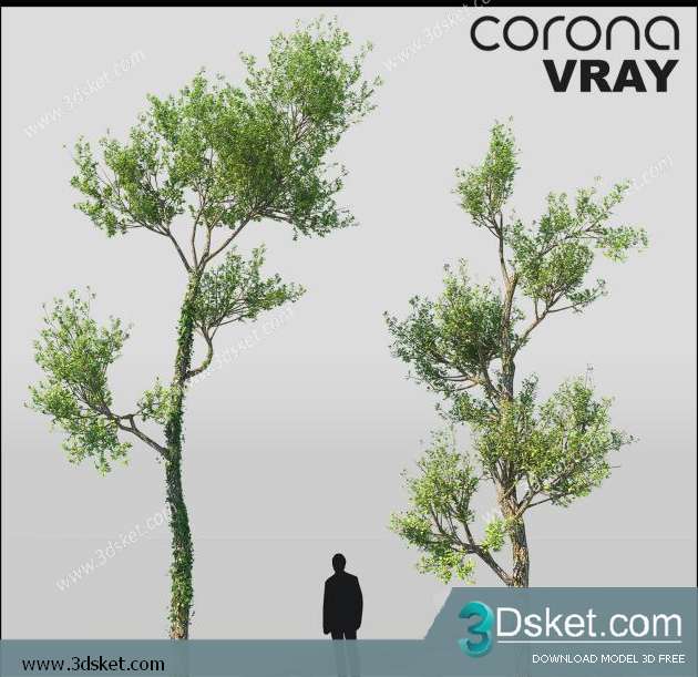 3D Model Plant Free Download 0100