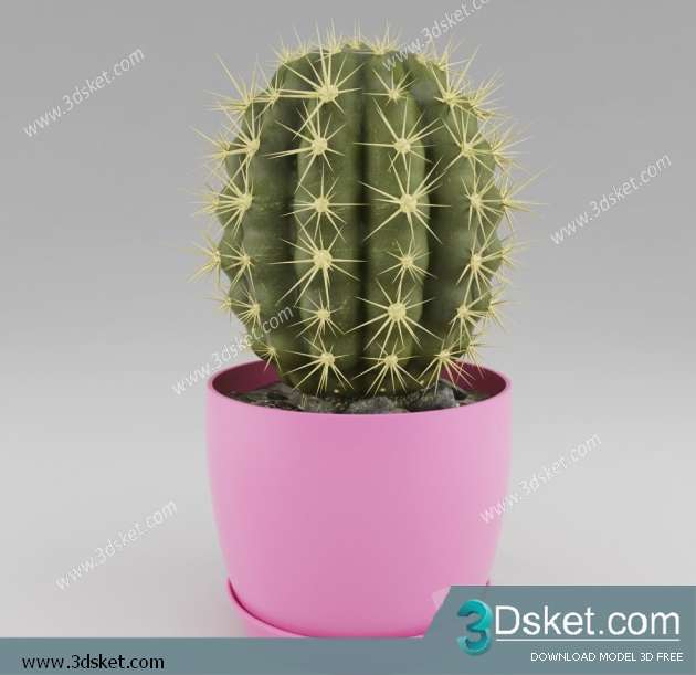 3D Model Plant Free Download 0103