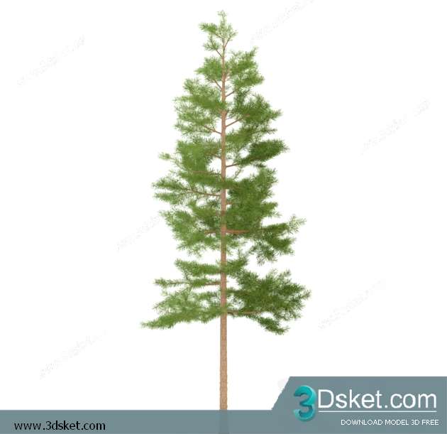 3D Model Plant Free Download 022