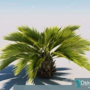 3D Model Plant Free Download 023