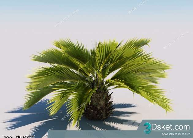 3D Model Plant Free Download 023