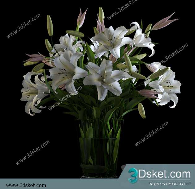 3D Model Plant Free Download 0104