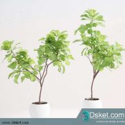 3D Model Plant Free Download 0105