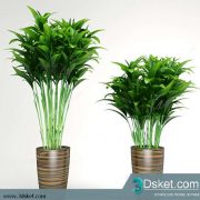 3D Model Plant Free Download 0108
