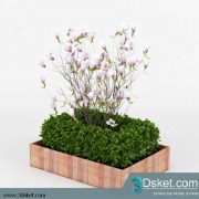 3D Model Plant Free Download 0109