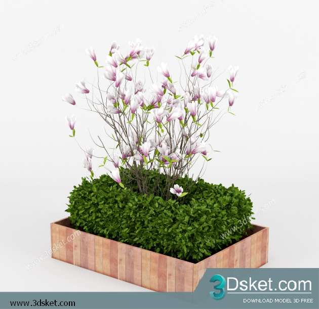 3D Model Plant Free Download 0109