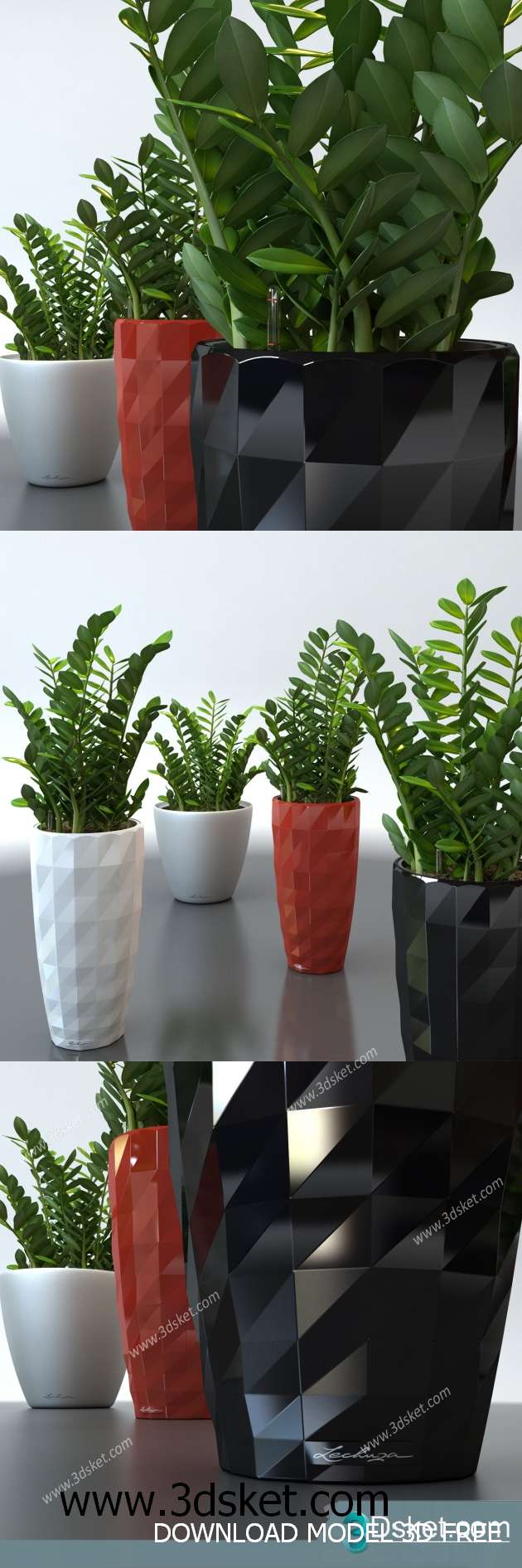3D Model Plant Free Download 0117