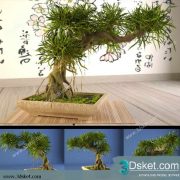 3D Model Plant Free Download 0123
