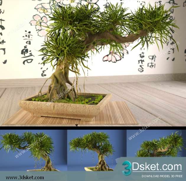 3D Model Plant Free Download 0123