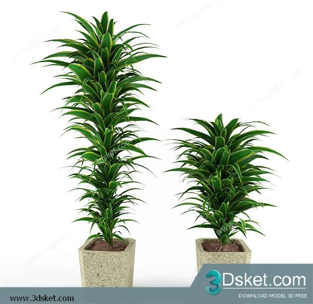 3D Model Plant Free Download 0132
