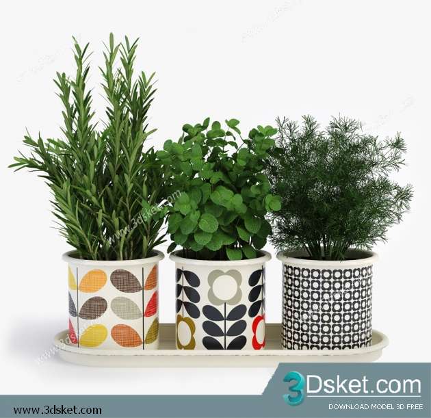 3D Model Plant Free Download 0136